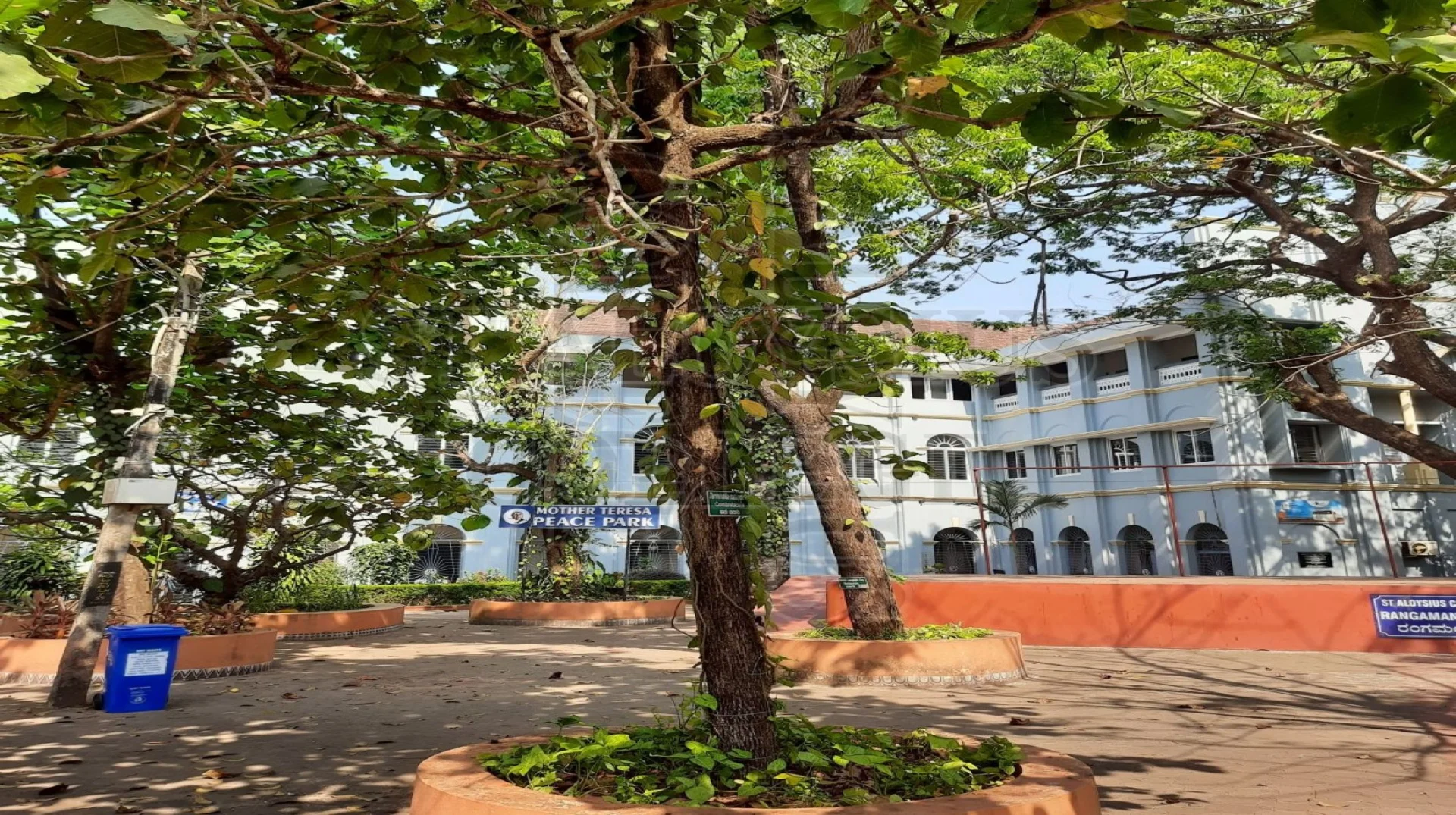 Indian Almond