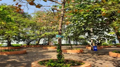 Indian Almond